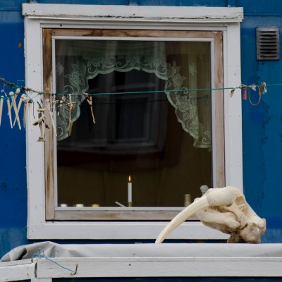 65.jpg